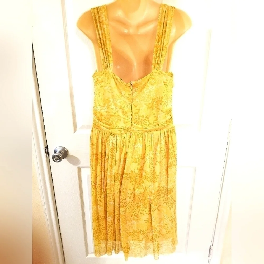 Chadwicks Dress Bundle